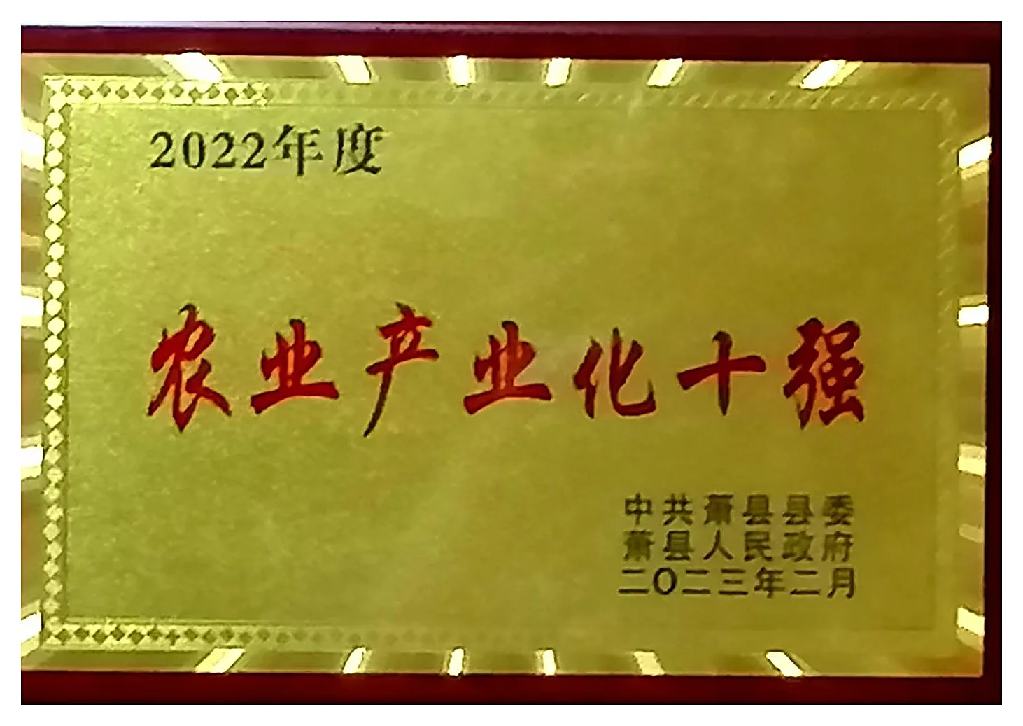2022年度农业产业化十强